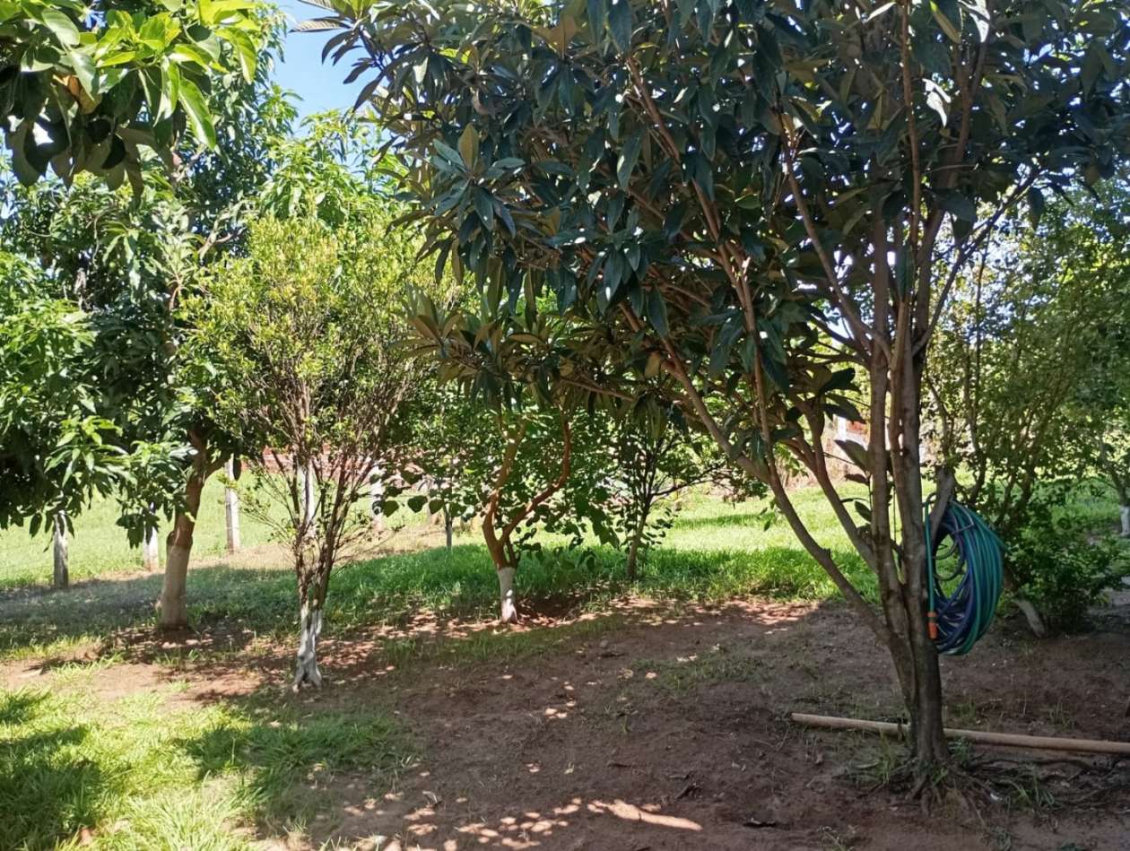 Chácara, 3 quartos, 1500 m² - Foto 12