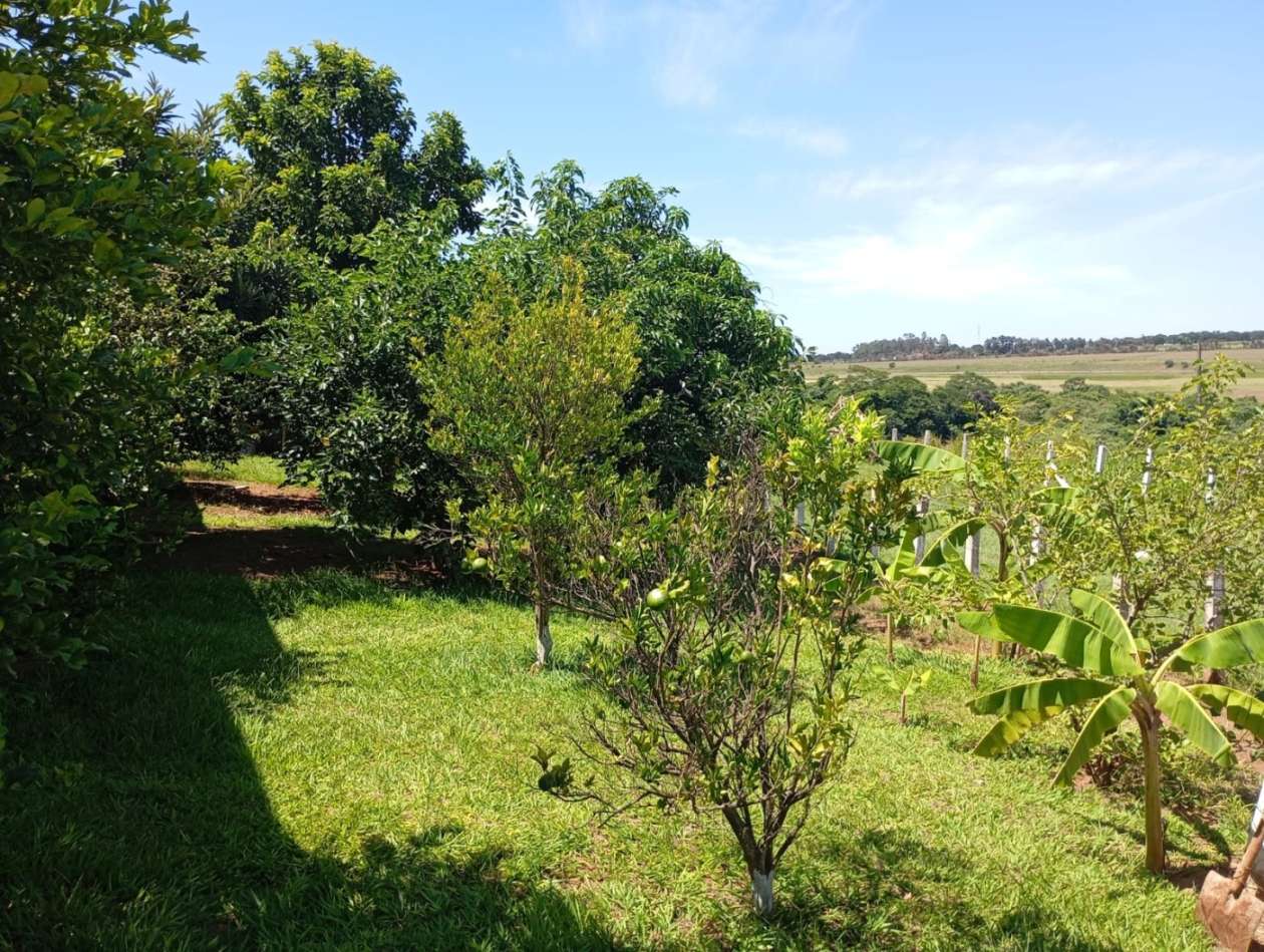 Chácara, 3 quartos, 1500 m² - Foto 34