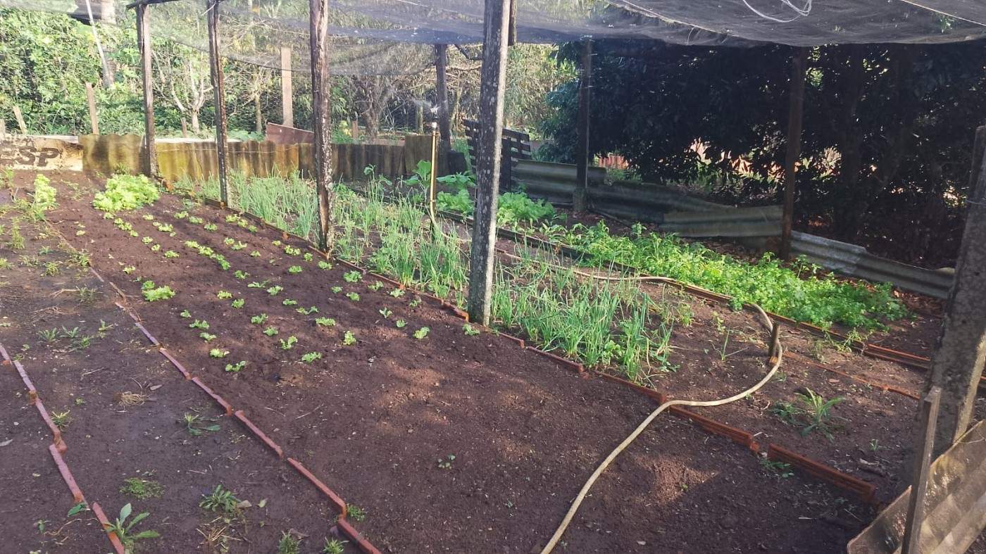 Chácara, 6000 m² - Foto 4