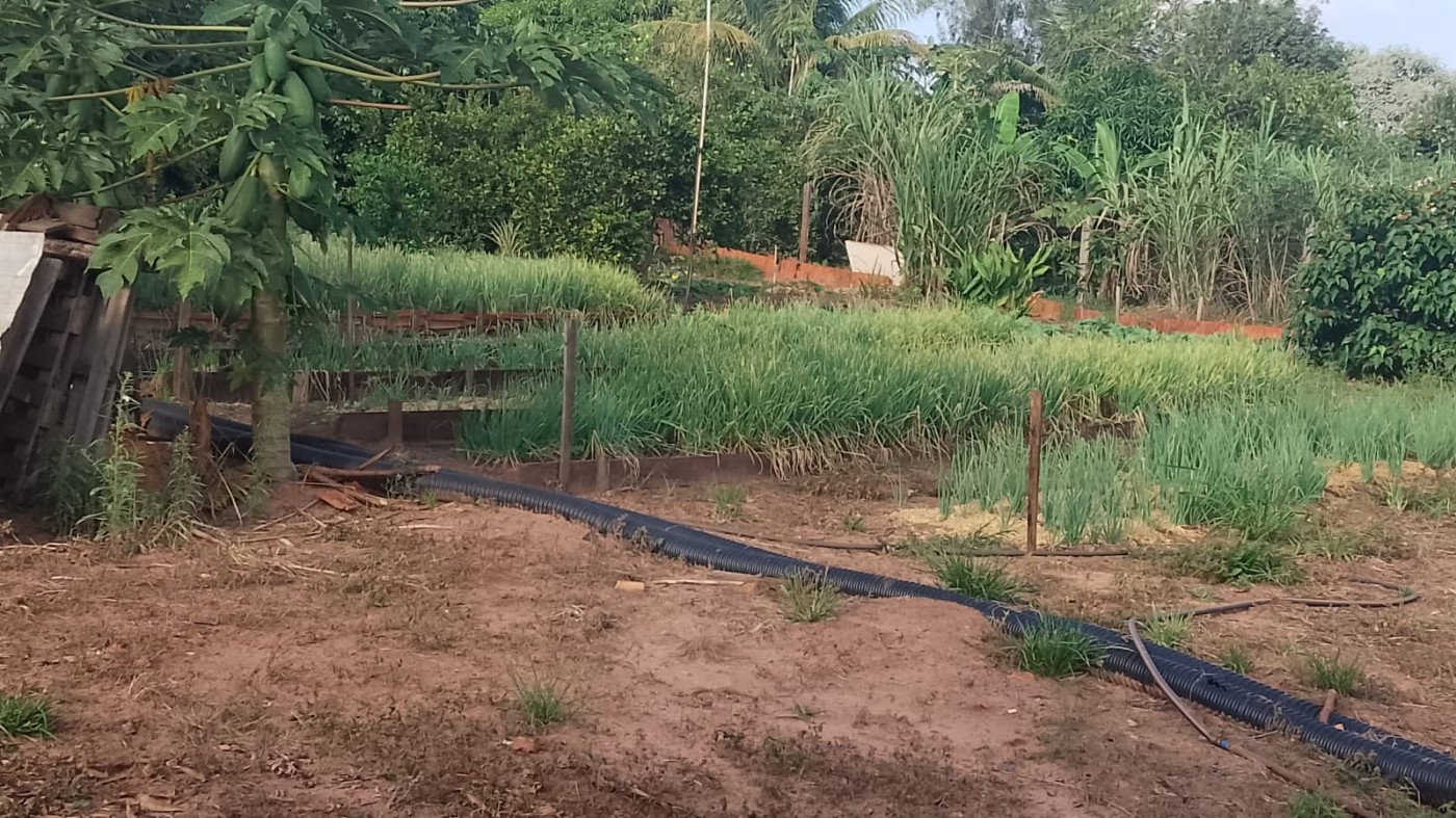 Chácara, 6000 m² - Foto 3