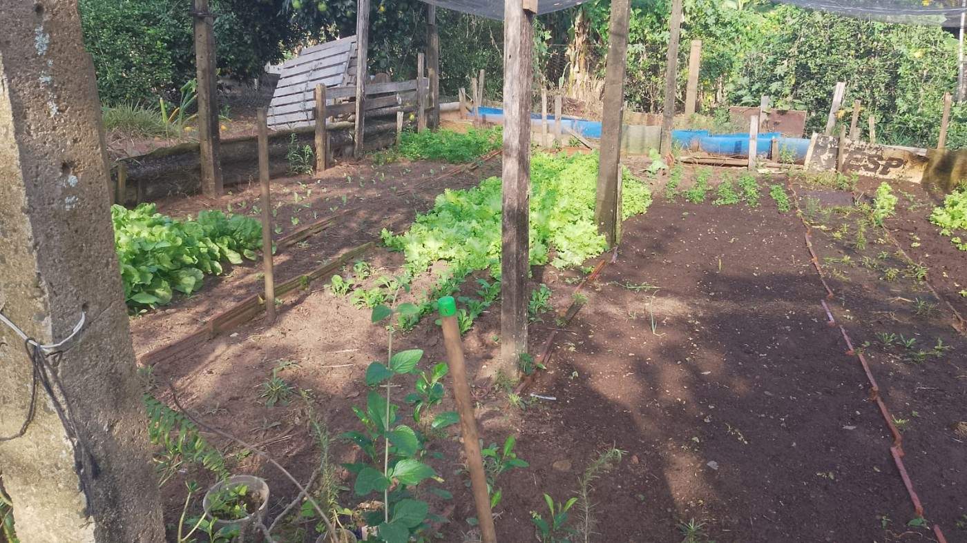 Chácara, 6000 m² - Foto 12