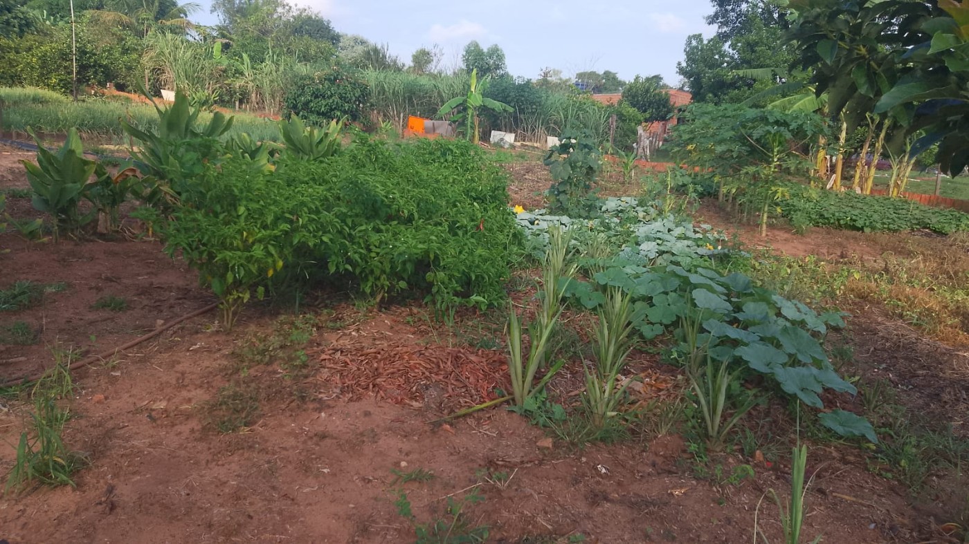 Chácara, 6000 m² - Foto 10