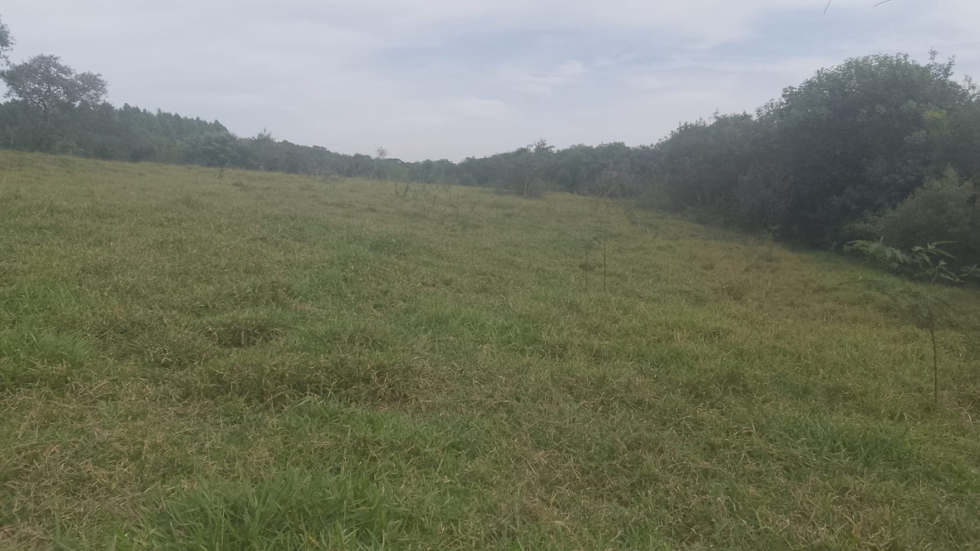 Terreno, 5500 m² - Foto 3