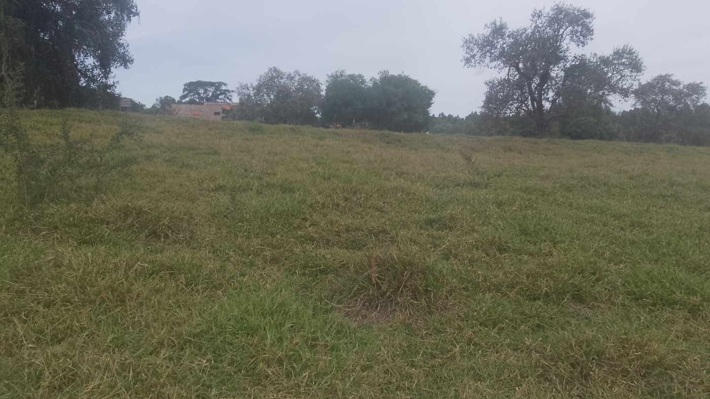 Terreno, 5500 m² - Foto 4