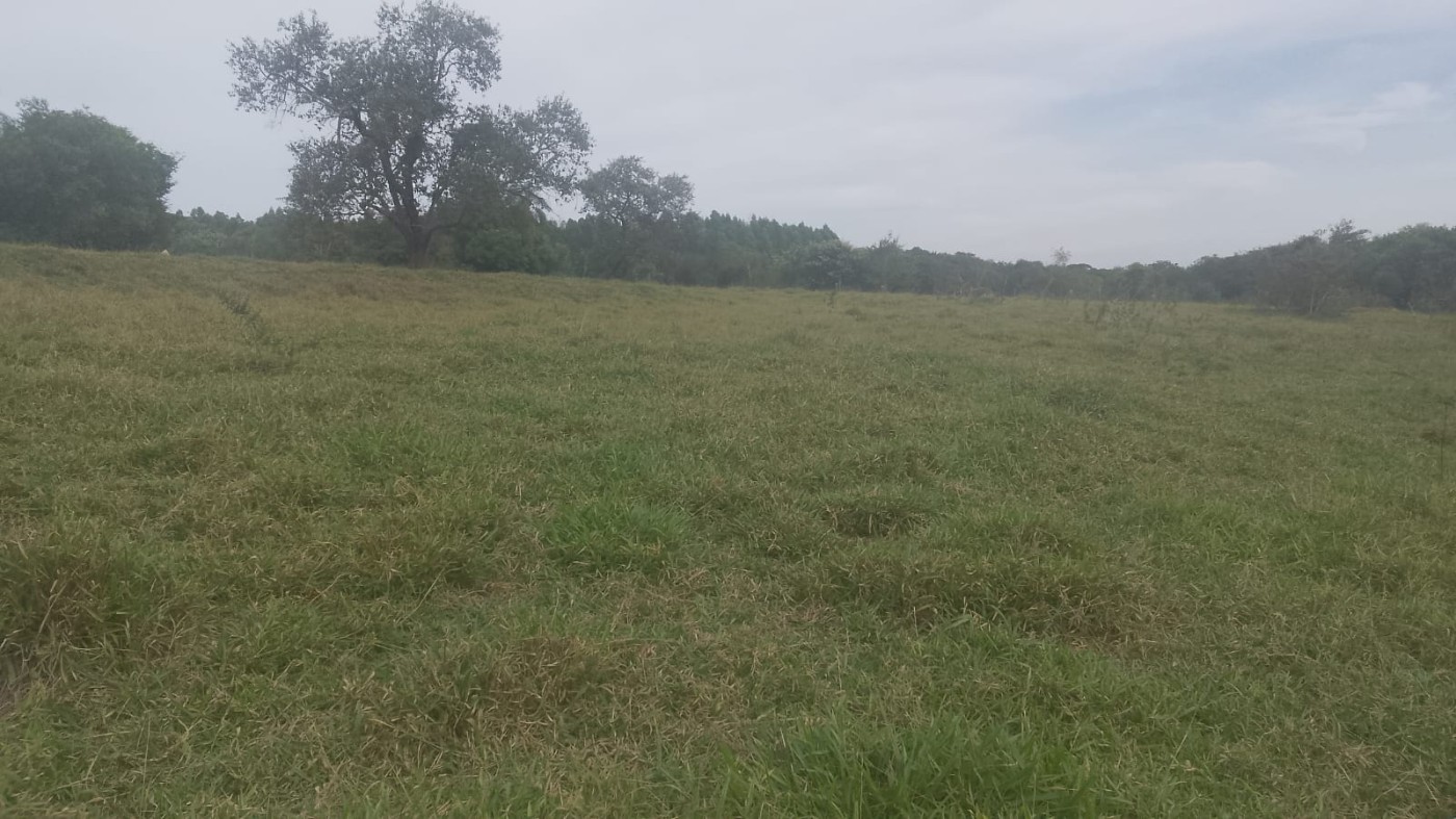 Terreno, 5500 m² - Foto 1