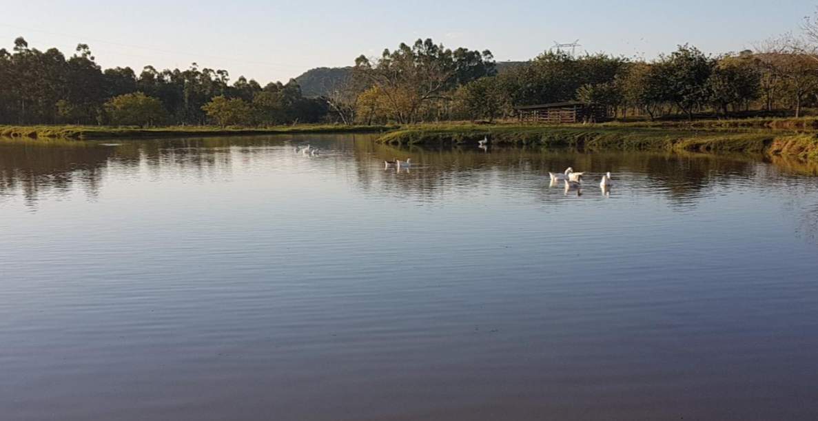 Fazenda, 14 m² - Foto 2