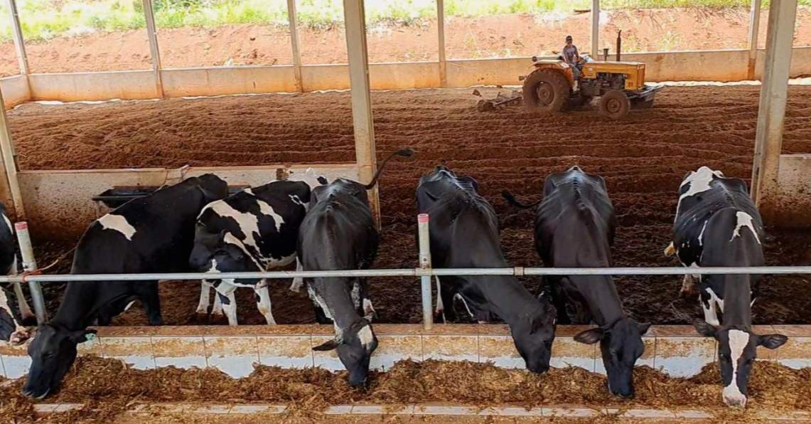 Fazenda, 14 m² - Foto 6