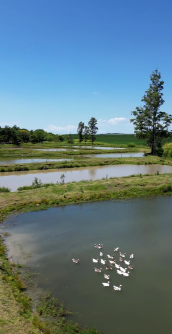 Fazenda, 14 m² - Foto 18