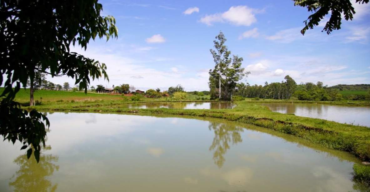 Fazenda, 14 m² - Foto 22