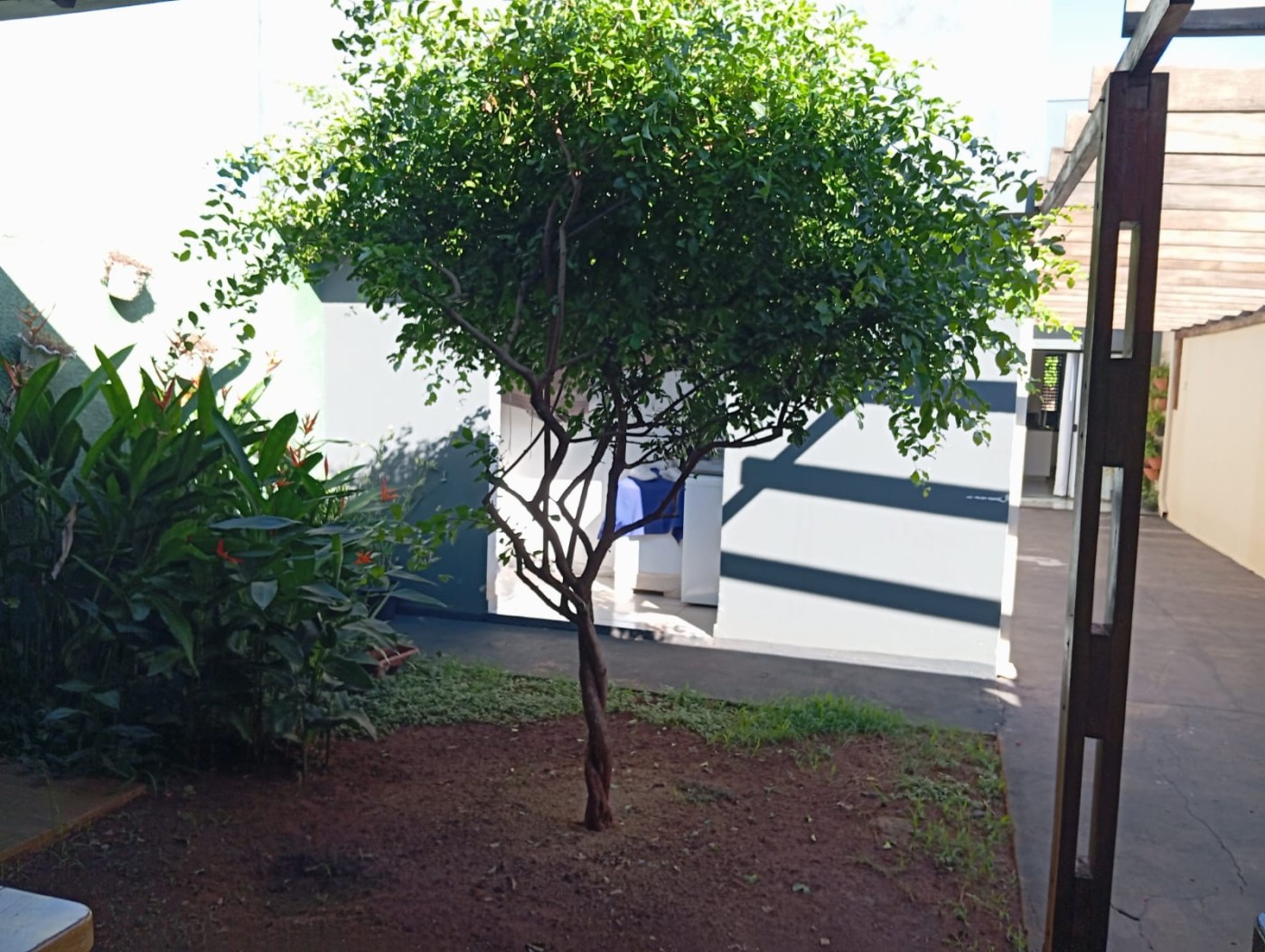 Casa, 3 quartos - Foto 32