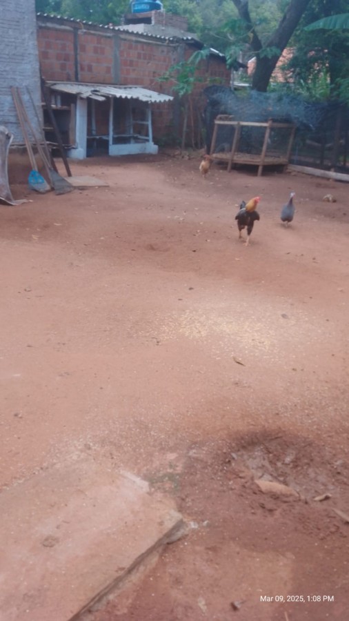 Chácara, 2 quartos, 1350 m² - Foto 7