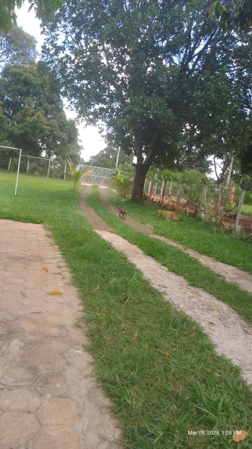 Chácara, 2 quartos, 1350 m² - Foto 9