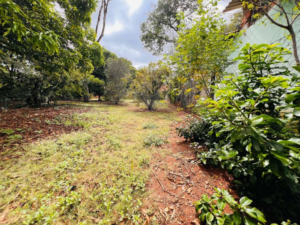 Chácara, 1500 m² - Foto 3