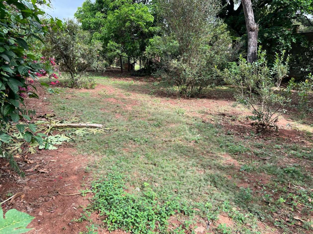 Chácara, 1500 m² - Foto 9