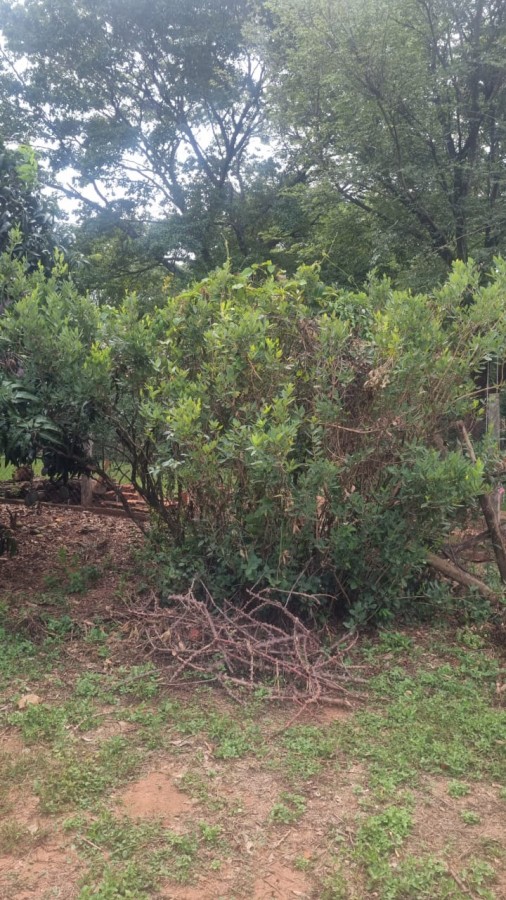 Chácara, 1500 m² - Foto 12