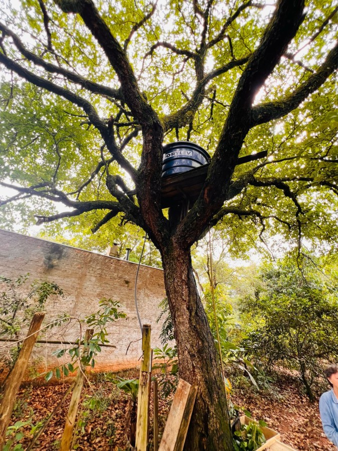 Chácara, 1500 m² - Foto 23