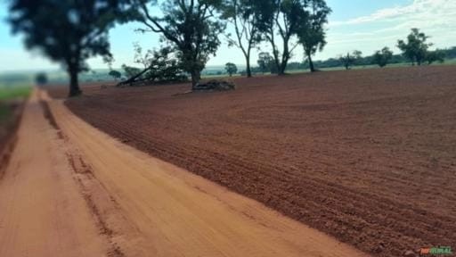 Fazenda, 21 m² - Foto 4