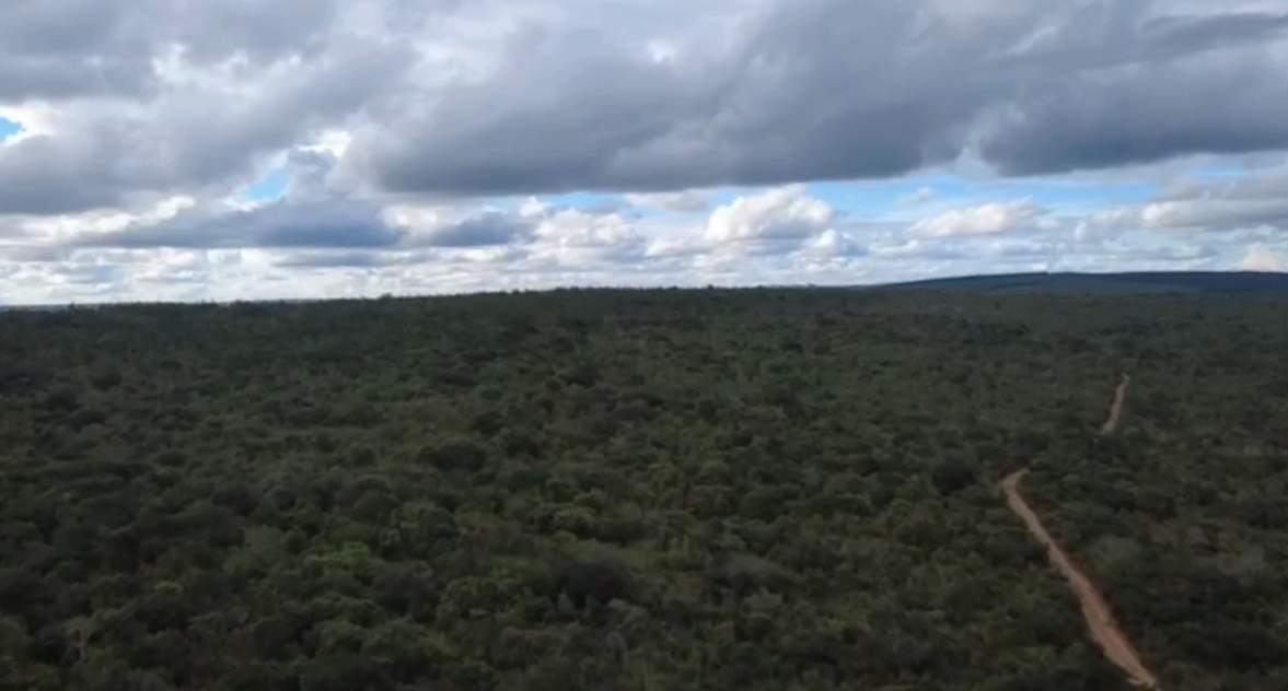 Fazenda - Foto 1