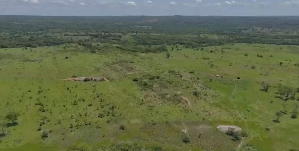 Fazenda - Foto 7