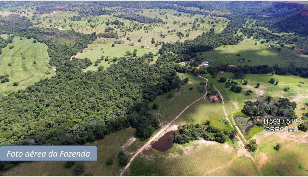 Fazenda - Foto 3