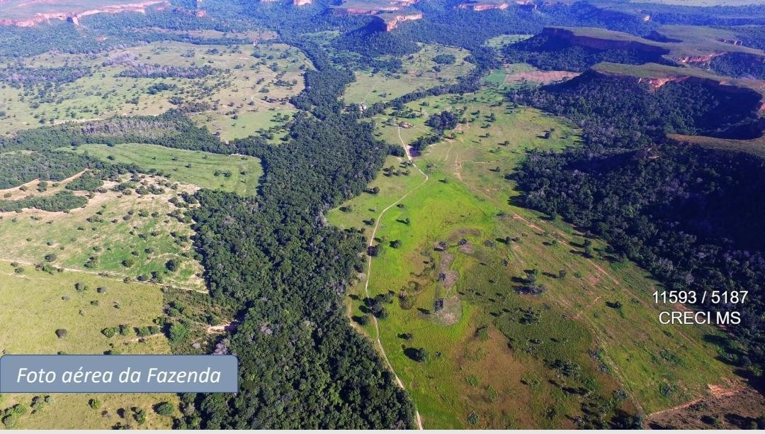 Fazenda - Foto 4