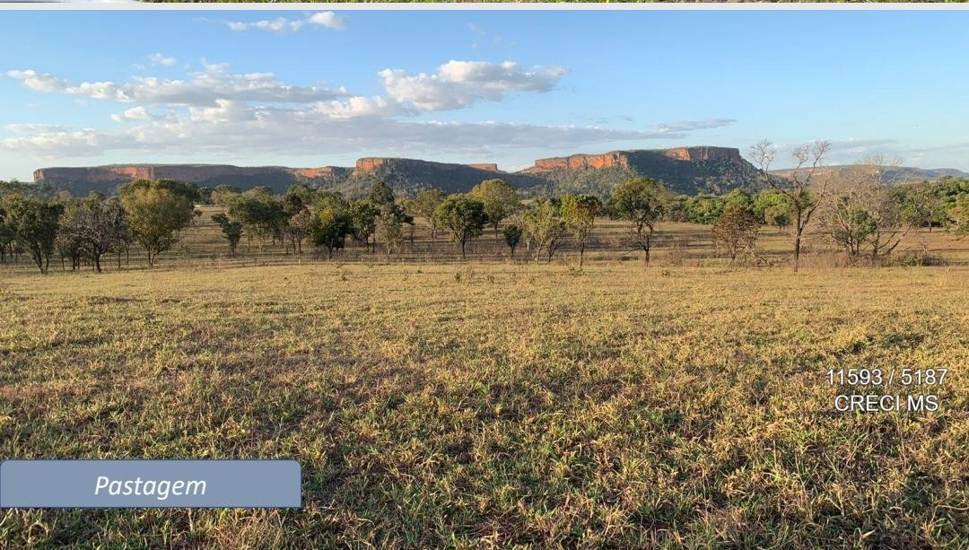 Fazenda - Foto 6