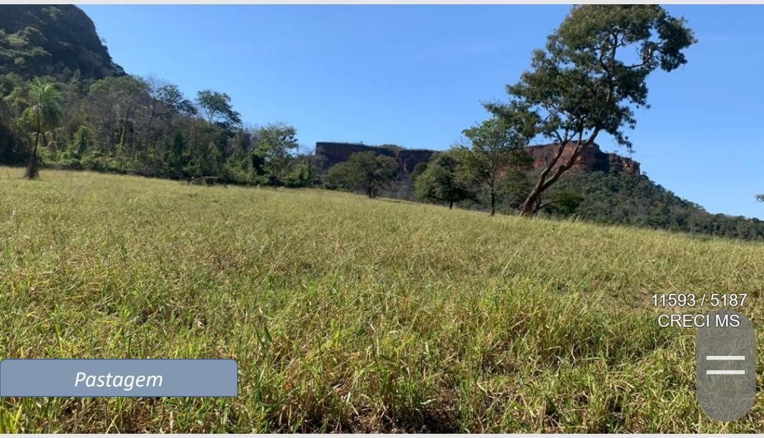 Fazenda - Foto 13