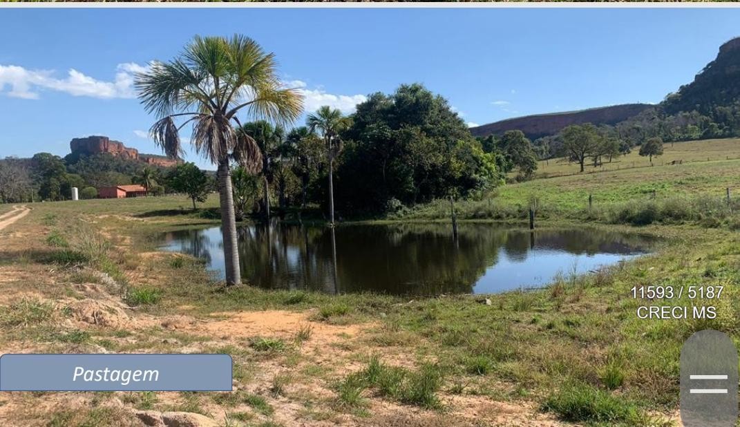 Fazenda - Foto 9