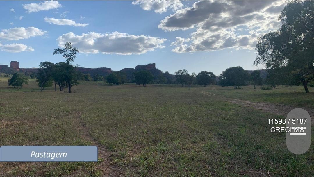 Fazenda - Foto 11