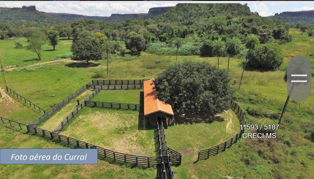 Fazenda - Foto 16