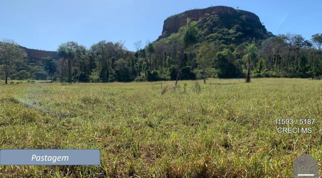 Fazenda - Foto 10