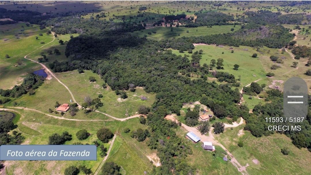 Fazenda - Foto 14