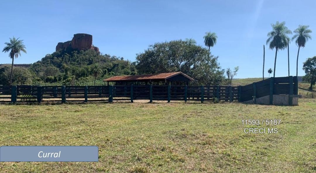 Fazenda - Foto 21