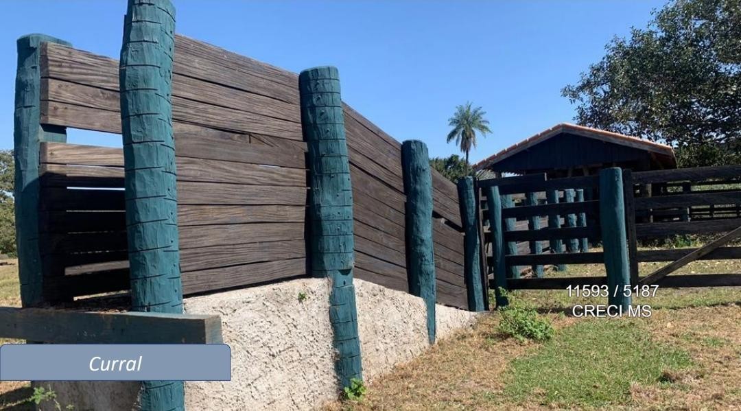 Fazenda - Foto 24