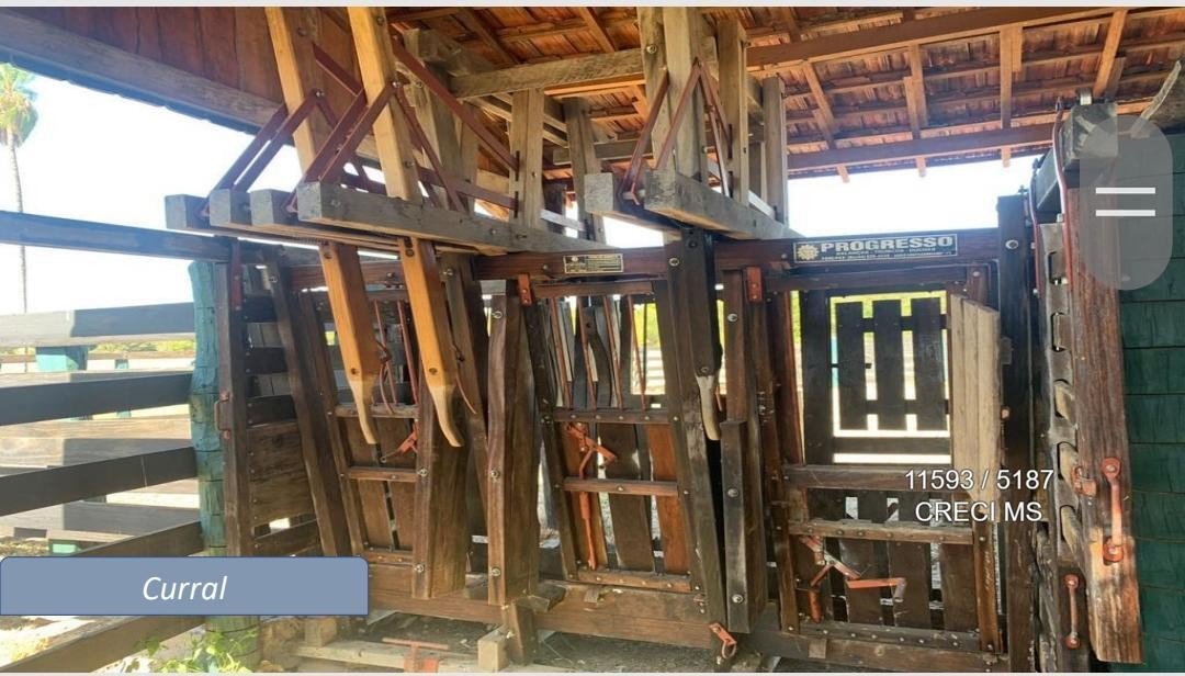 Fazenda - Foto 18