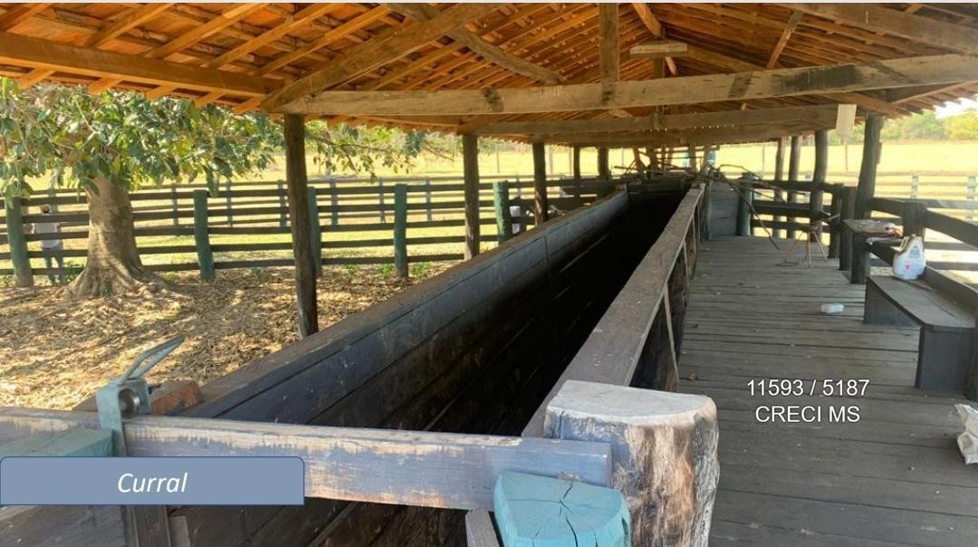 Fazenda - Foto 19