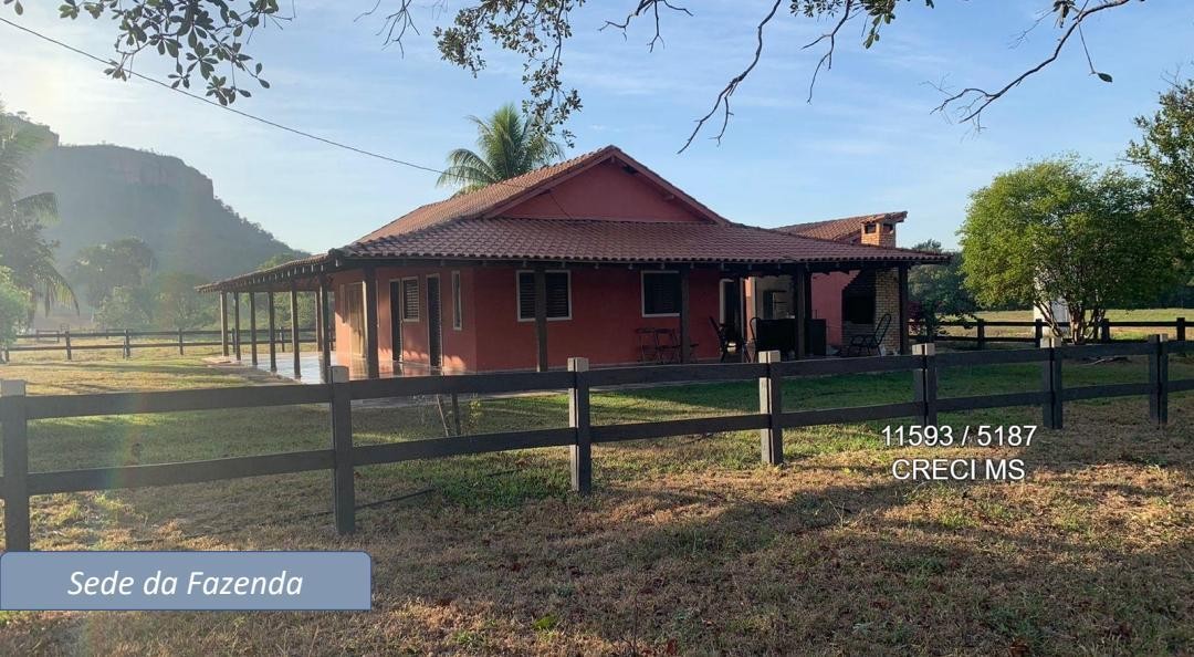 Fazenda - Foto 29