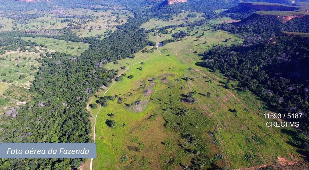 Fazenda - Foto 31