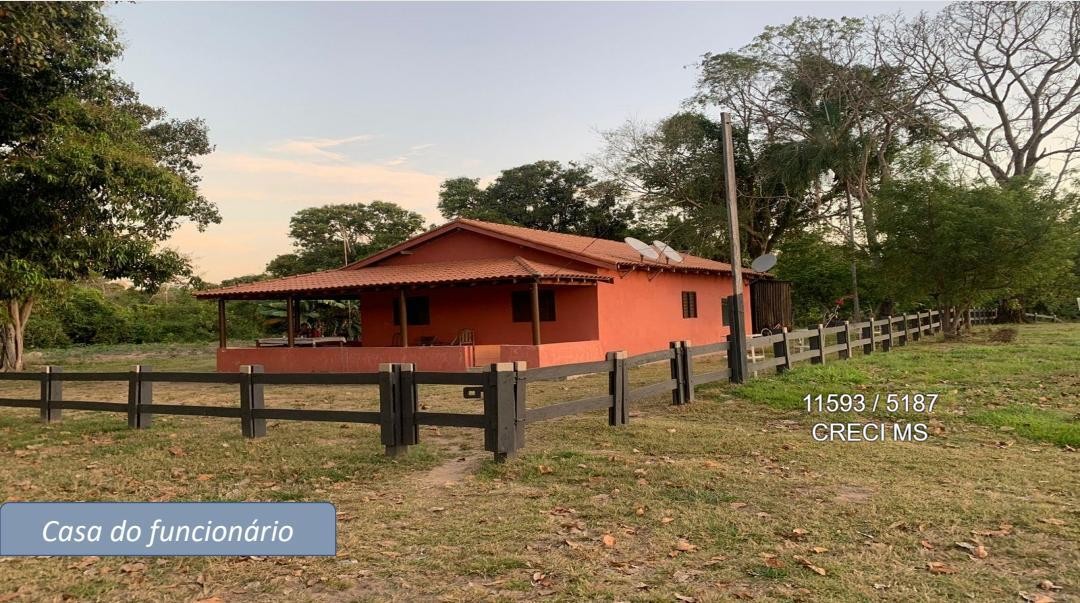 Fazenda - Foto 30