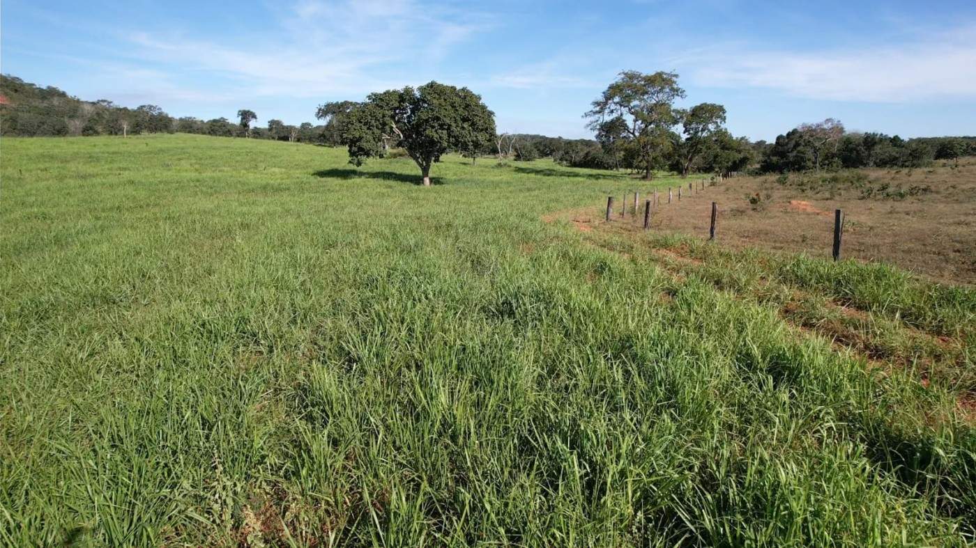 Fazenda - Foto 4