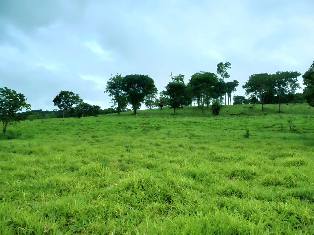 Fazenda - Foto 2