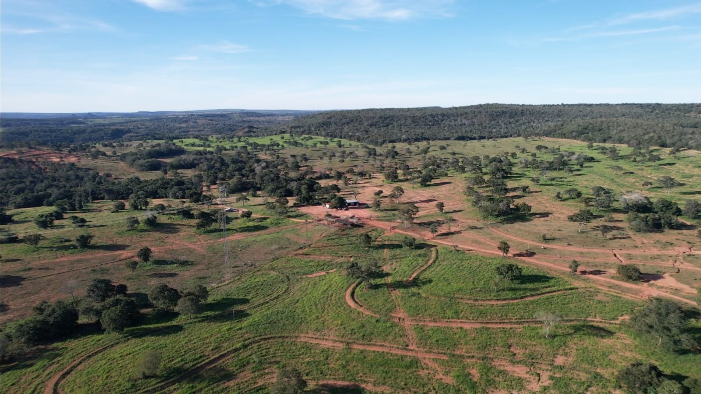 Fazenda - Foto 5