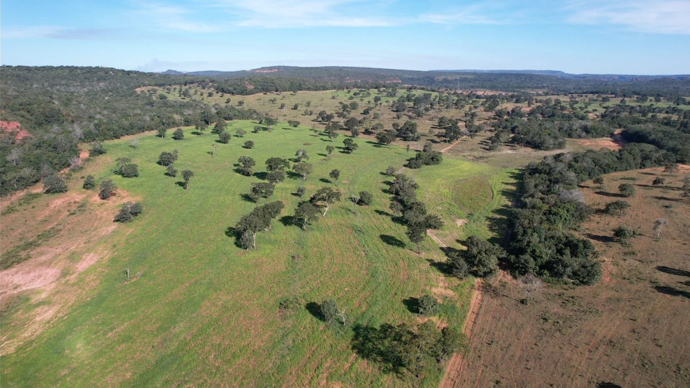 Fazenda - Foto 7
