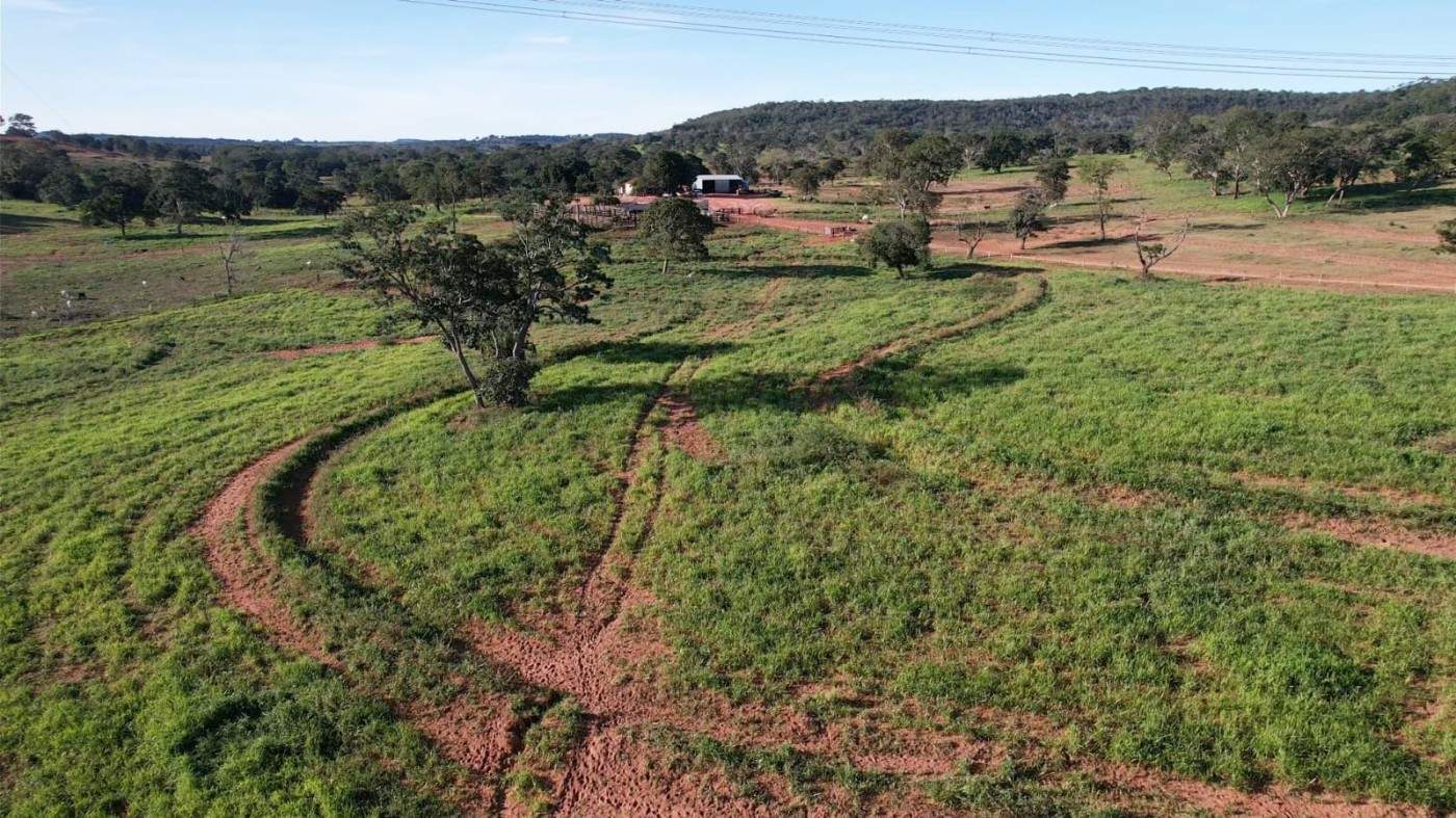 Fazenda - Foto 13