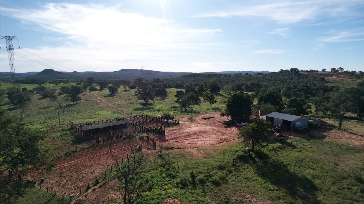 Fazenda - Foto 14