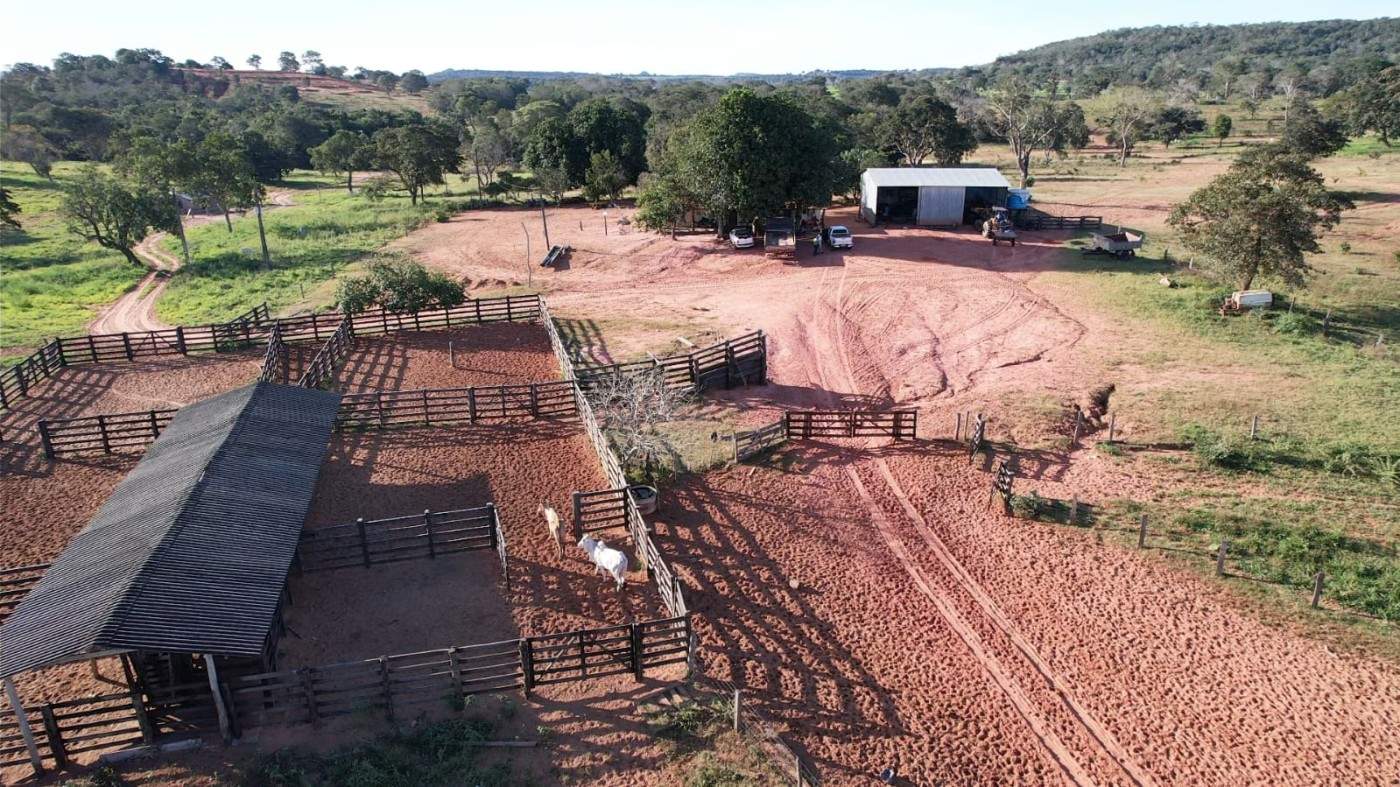 Fazenda - Foto 16