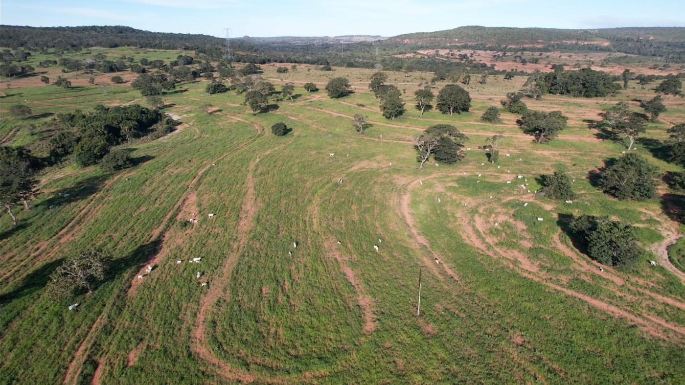 Fazenda - Foto 17