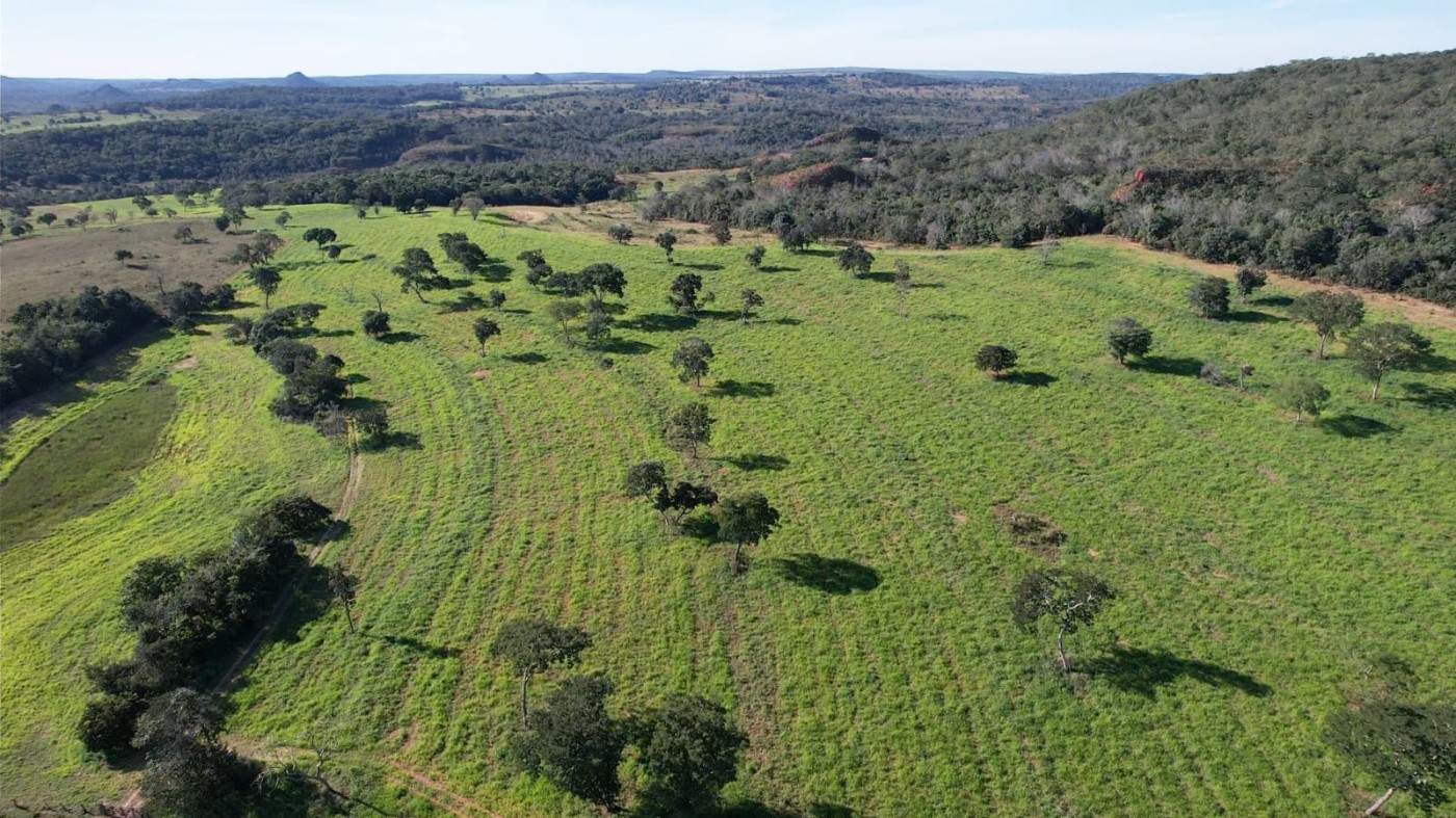 Fazenda - Foto 21