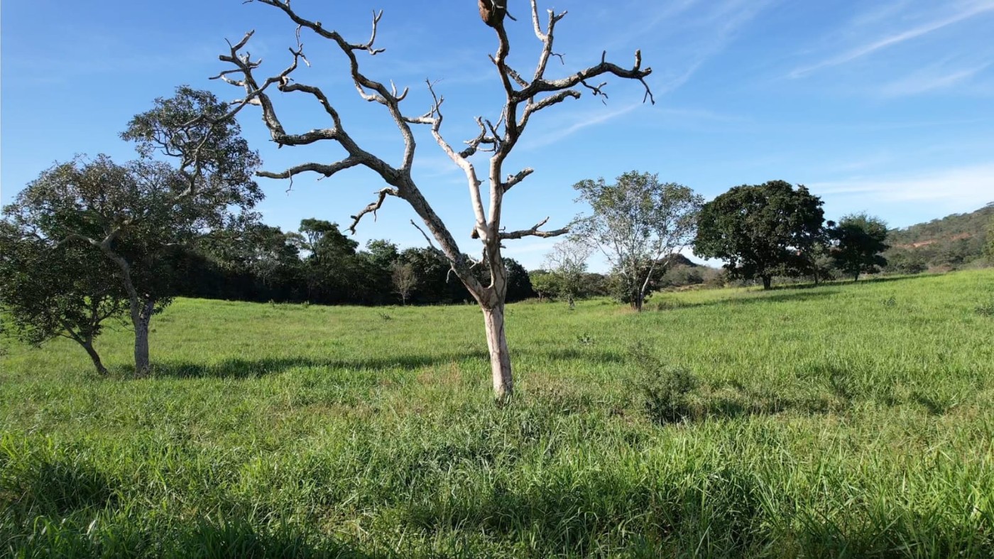 Fazenda - Foto 19