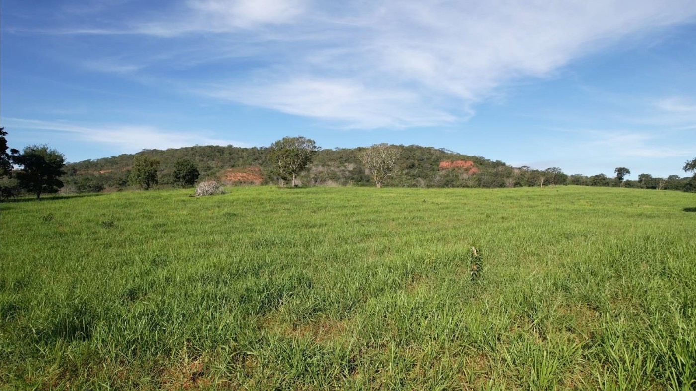 Fazenda - Foto 20